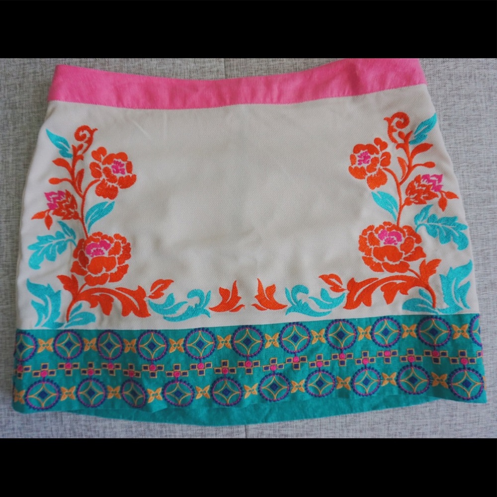 Embroidered boutique skirt